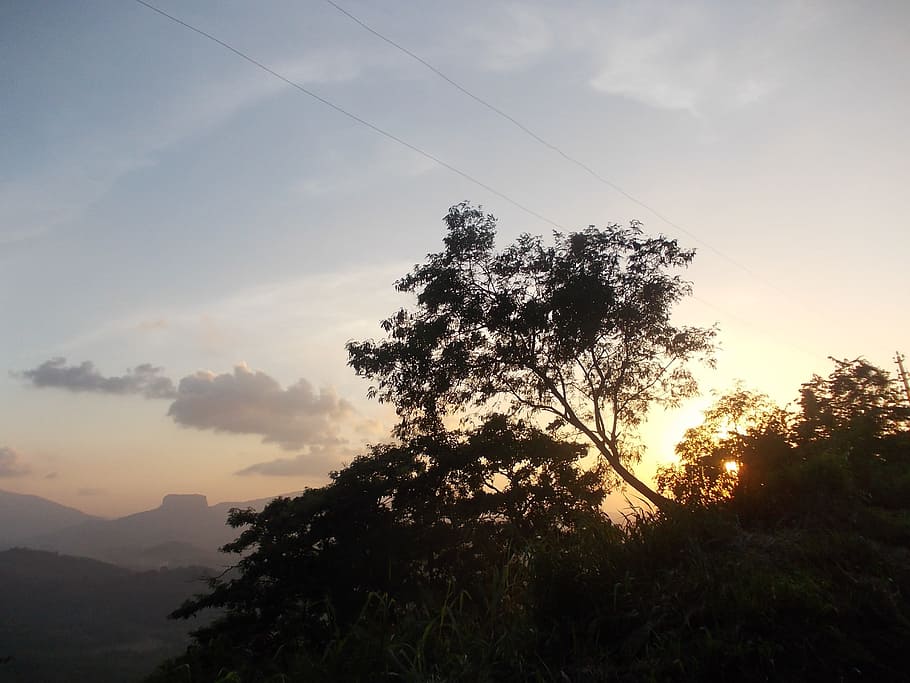 Nature, Tree, Sunset, sky, sri lanka, silhouette, no people HD wallpaper