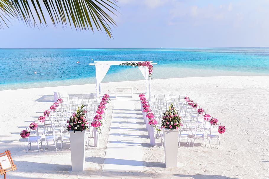 sea, beach, sand, water, beach wedding, chairs, coconut trees, HD wallpaper
