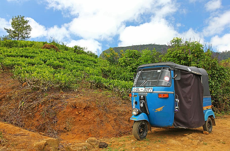 blue and black auto rickshaw parked near green leaf plant during daytime, HD wallpaper