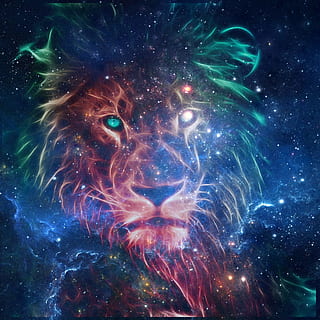lion, sky, predator, space, astronomy, star - space, night HD wallpaper