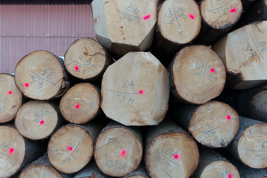 log, timberyard, mark, valuable, storage, drying, blue writing, HD wallpaper
