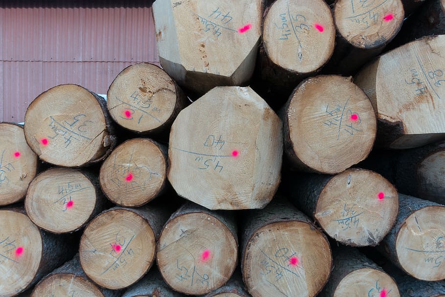 log, timberyard, mark, valuable, storage, drying, blue writing HD wallpaper