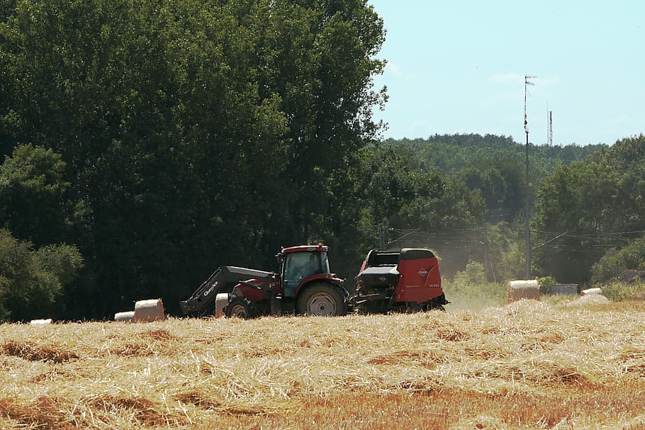 tractor, work in the fields, hay, forage, tree, plant, land vehicle HD wallpaper