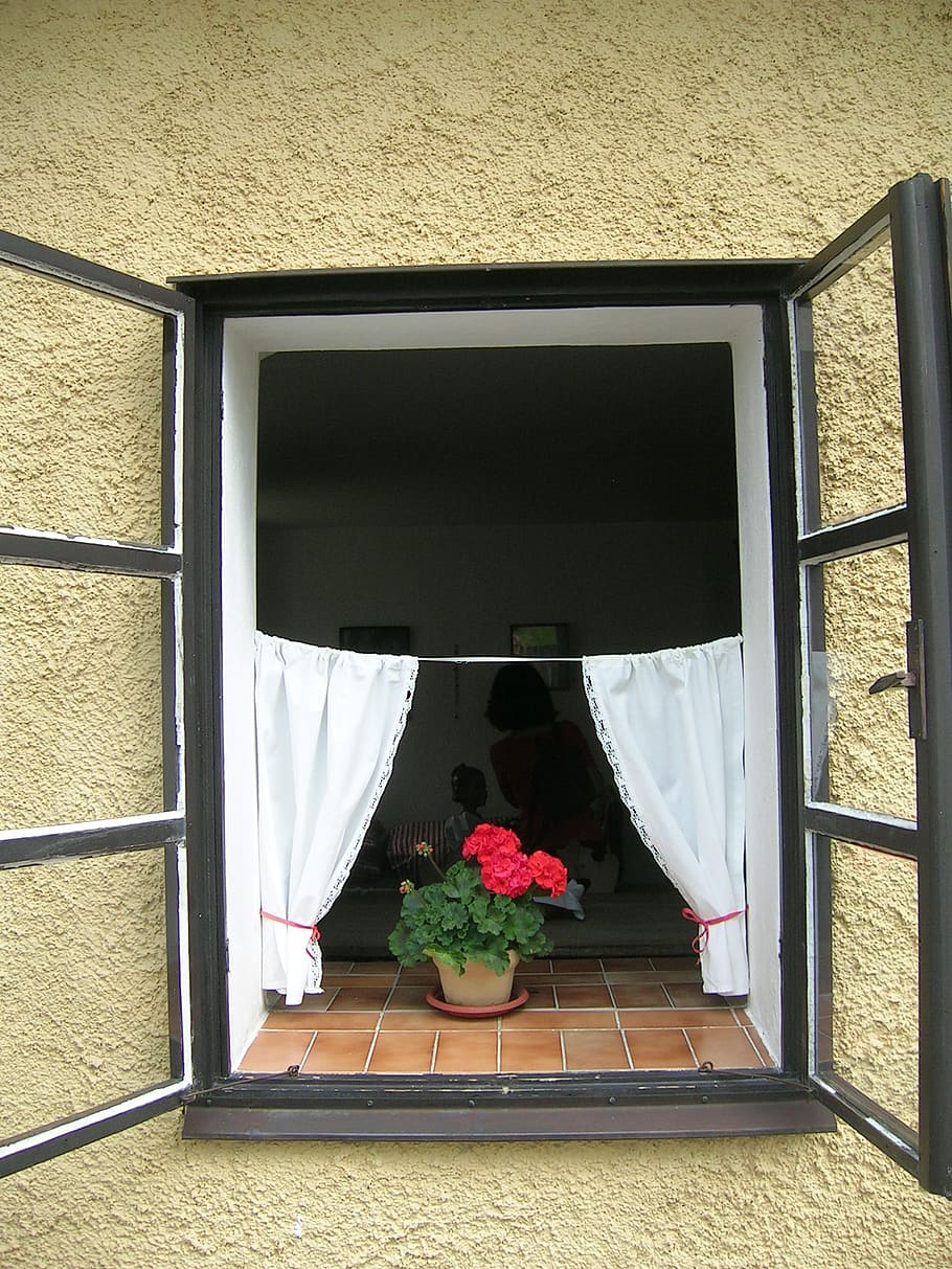 window, old window, building, chodenhaus, historically, architecture HD wallpaper