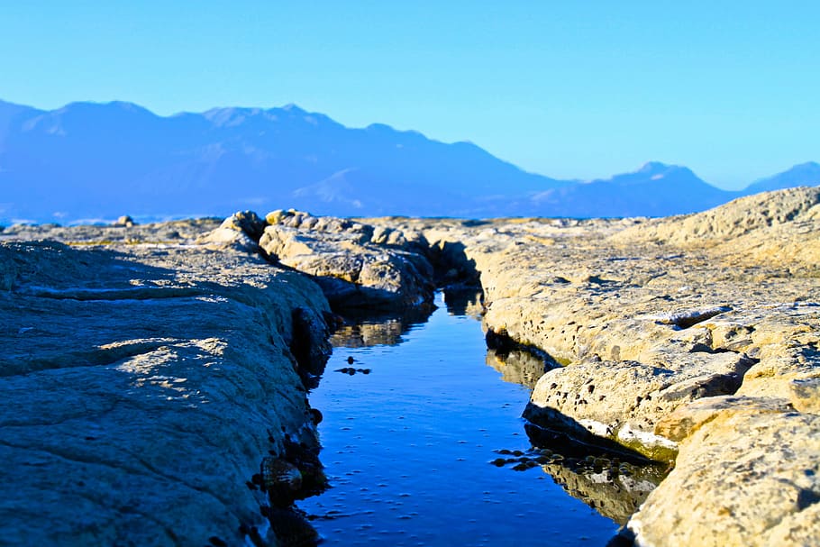 Stream, Rocks, Surface, Blue, Sky, mountains, animals in the wild HD wallpaper