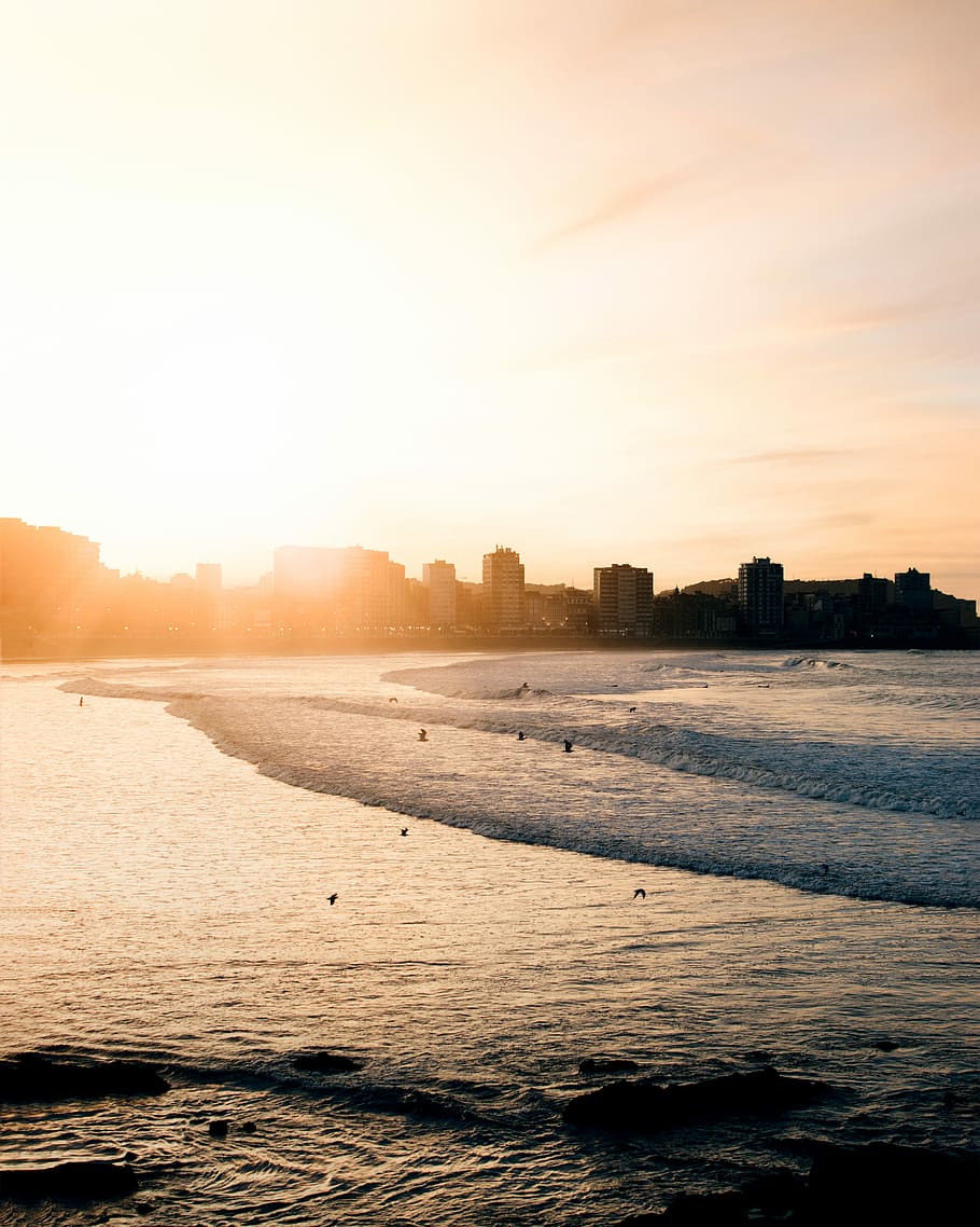 scenery of a body of water beside a city, photo of high-rise beside body of water HD wallpaper
