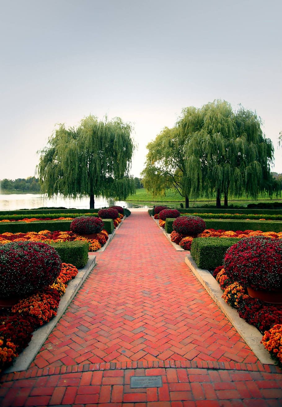 garden, brick, path, nature, gardening, fall colors, outdoor HD wallpaper