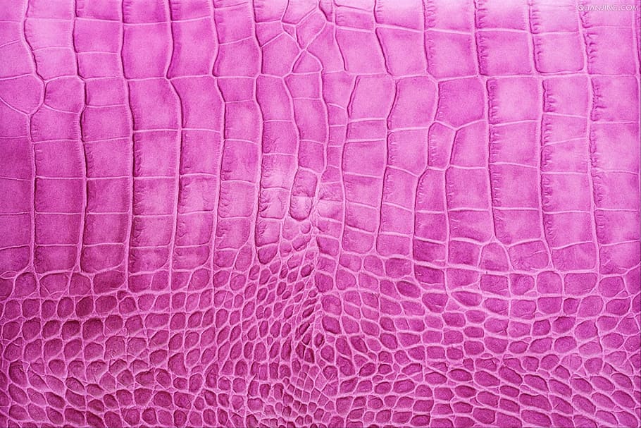 Pink Alligator Crocodile Skin Leather Stock Photo - Download Image Now -  iStock