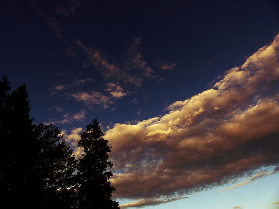 Sky, Weather, Clouds, Sunset, Tree, silhouette, evening, nature HD wallpaper