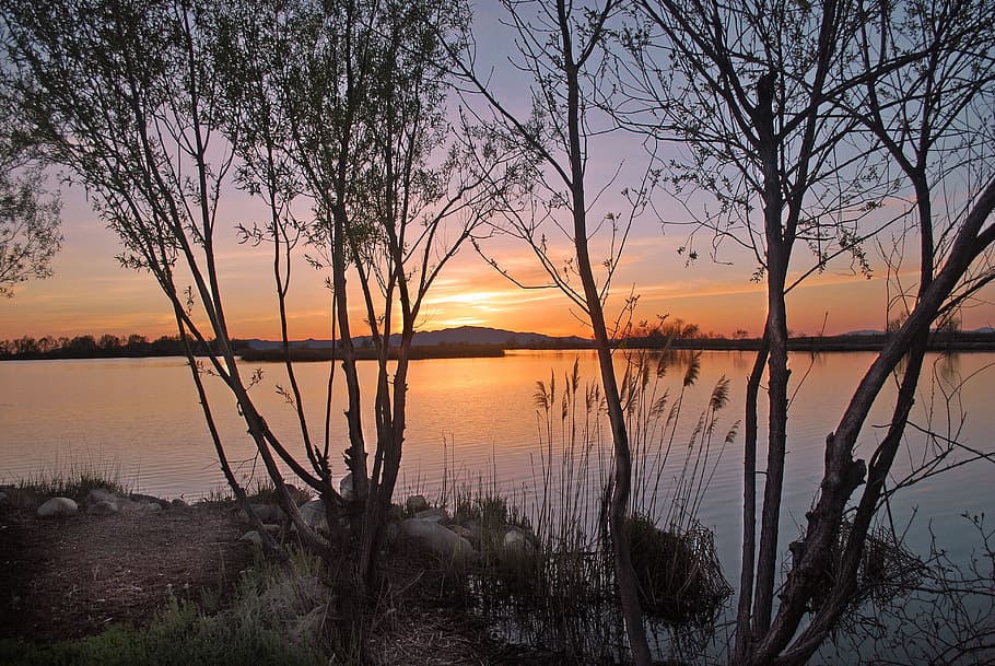 Sunset, Lake, Trees, Scenic, Evening, tranquil, reflection HD wallpaper