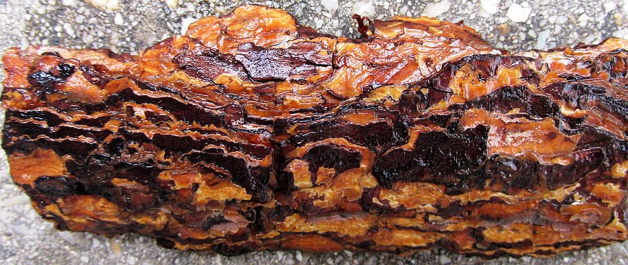 bark, pine, tree, wood, timber, food, food and drink, close-up HD wallpaper
