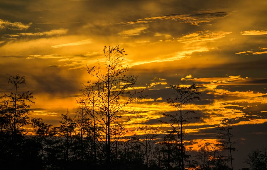 sunset, dusk, cloud, evening, yellow, orange, cloud - sky, orange color HD wallpaper
