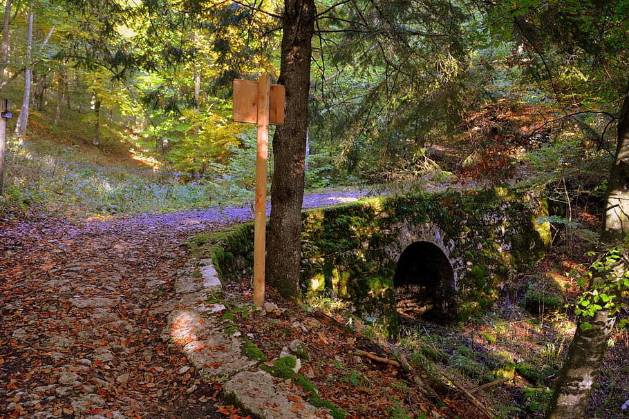 bridge, excursion, forest, autumn, trail, mountain, the european path HD wallpaper