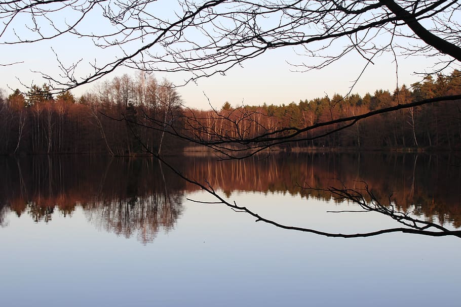 water, mirror image, twilight, reflection, tree, lake, tranquility HD wallpaper