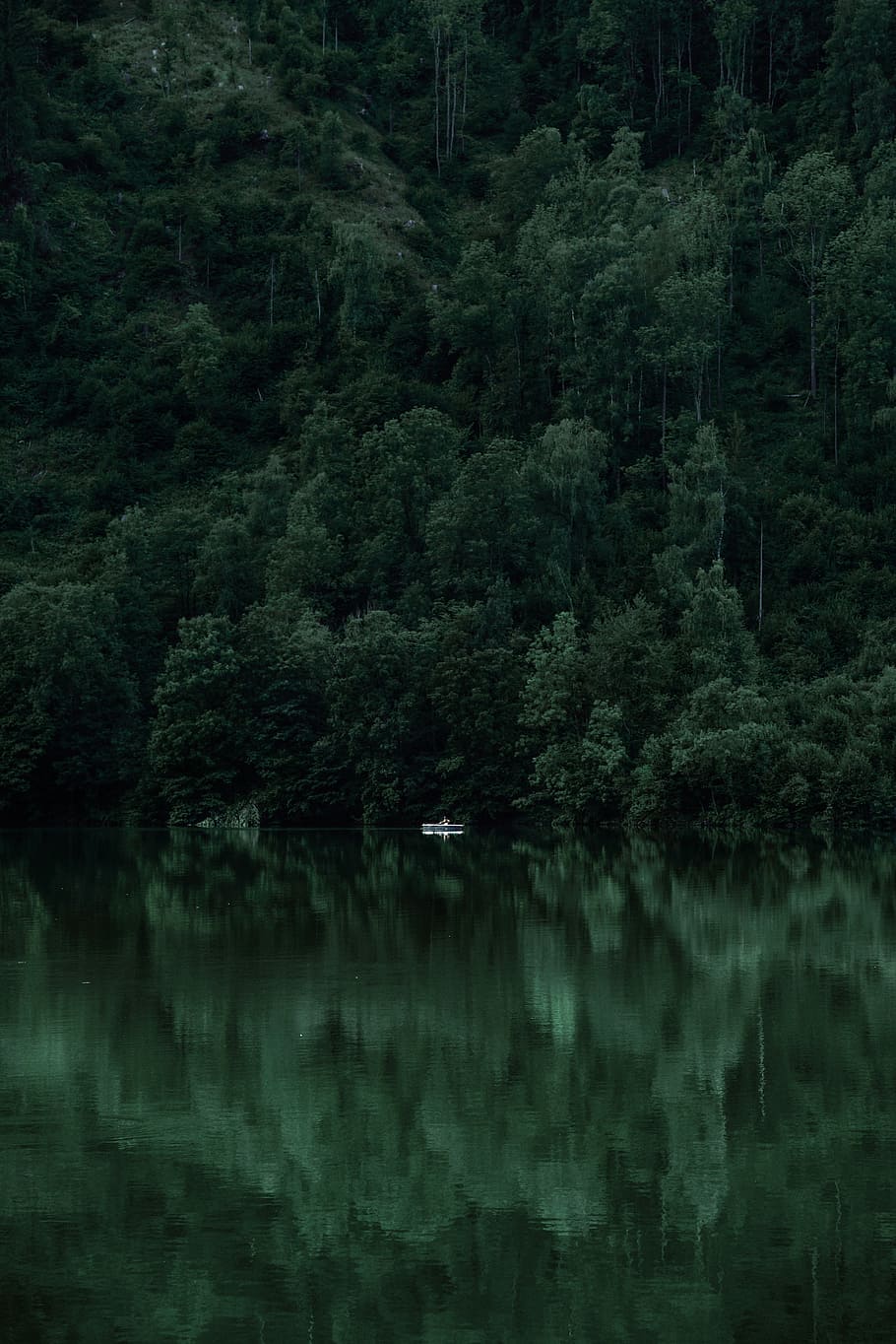 white boat on body of water, boat on body of water near trees HD wallpaper