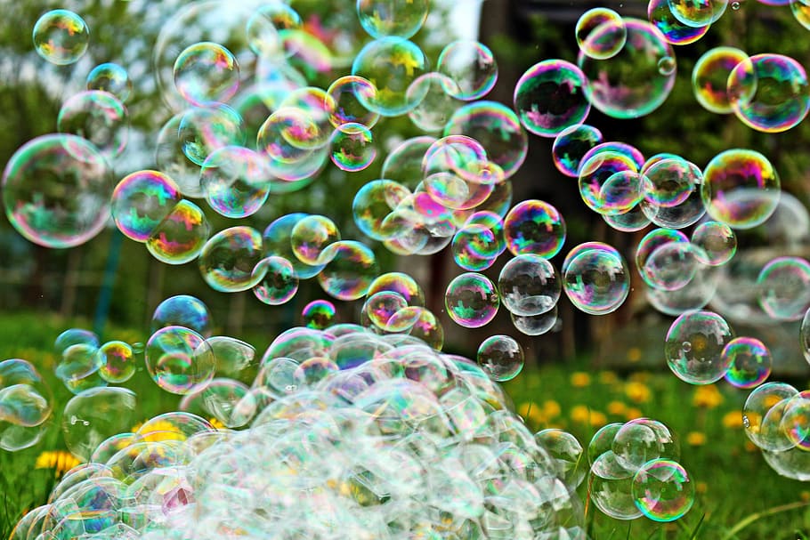 soap bubble, spring, meadow, dandelion, flowers, pointed flower HD wallpaper
