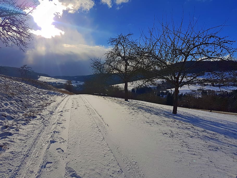 Landscape, Winter, Frost, snow, cold temperature, bare tree HD wallpaper