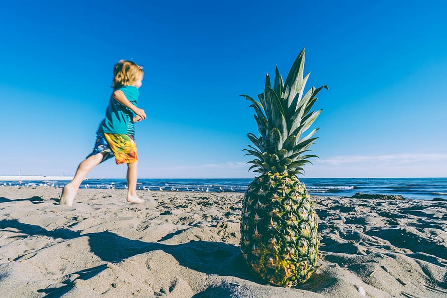 selective focus photo of green and yellow pineapple near running kid wearing blue T-shirt photo taken during daytime, green pineapple near seashore during daytime HD wallpaper
