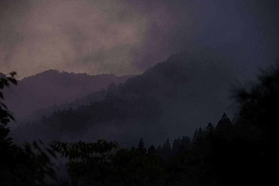 fog covered forest, fog-covered mountains, tree, cloud, landscape HD wallpaper