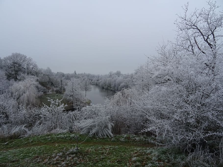 landscape, snow, trees, nature, winter, plant, cold temperature HD wallpaper
