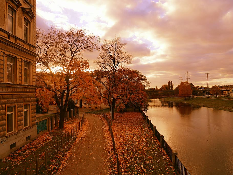 River, Nature, Trees, Water, autumn, landscape, autumn leaves HD wallpaper