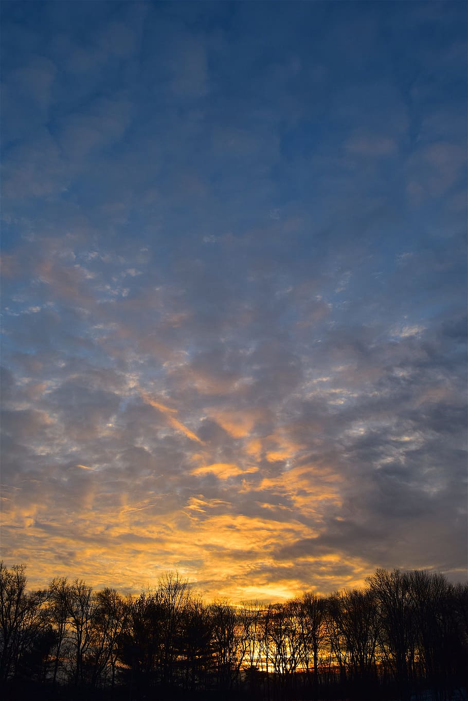 sunset, landscape, trees, clouds, sky, outdoors, colorful, cloudscape HD wallpaper
