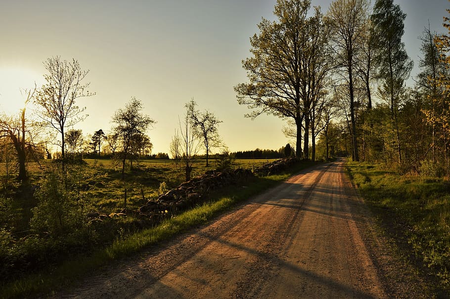 Forest, Road, Go, Bed, Solar, Sunset, sweden, tree, landscapes HD wallpaper