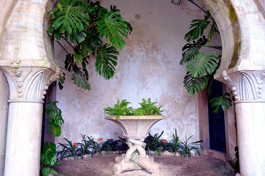 vault, plant, stone table, columnar, growth, potted plant, nature HD wallpaper