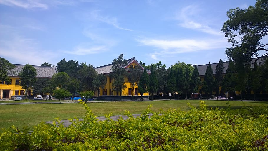 grassland, blue sky, china, guangxi normal university, king city