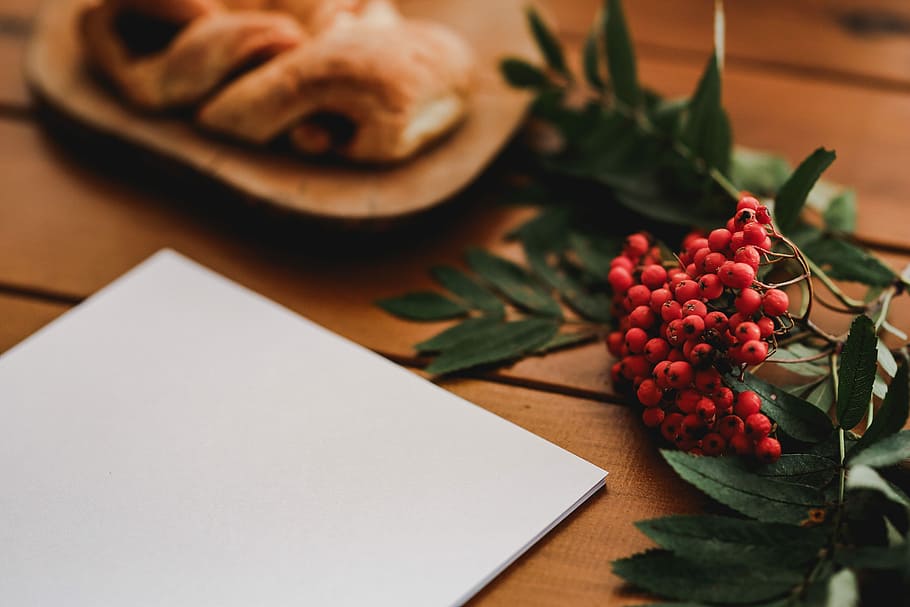 Red rowan fruit with a coffee and a white sheet of paper, table