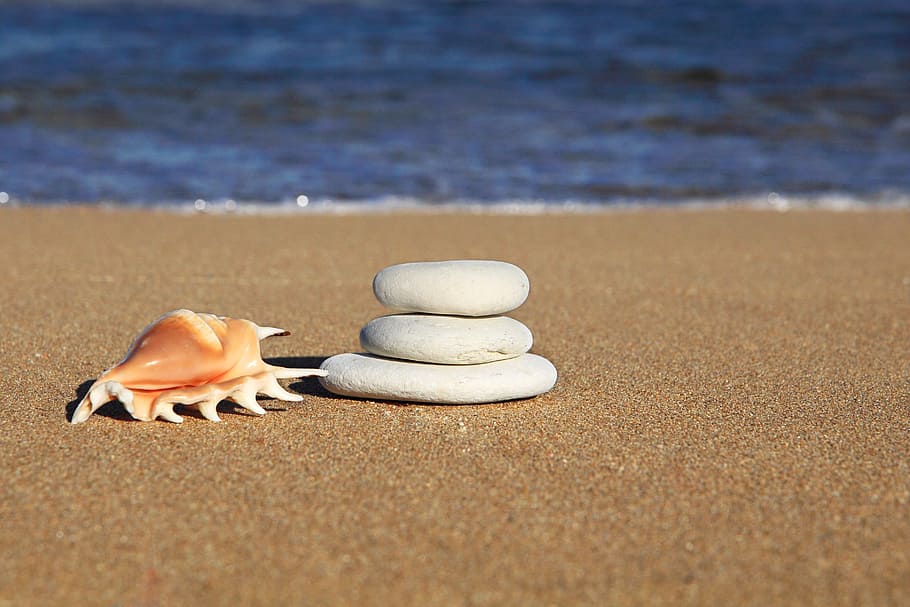 three white stone and seashell on seashore during daytime, balance, HD wallpaper