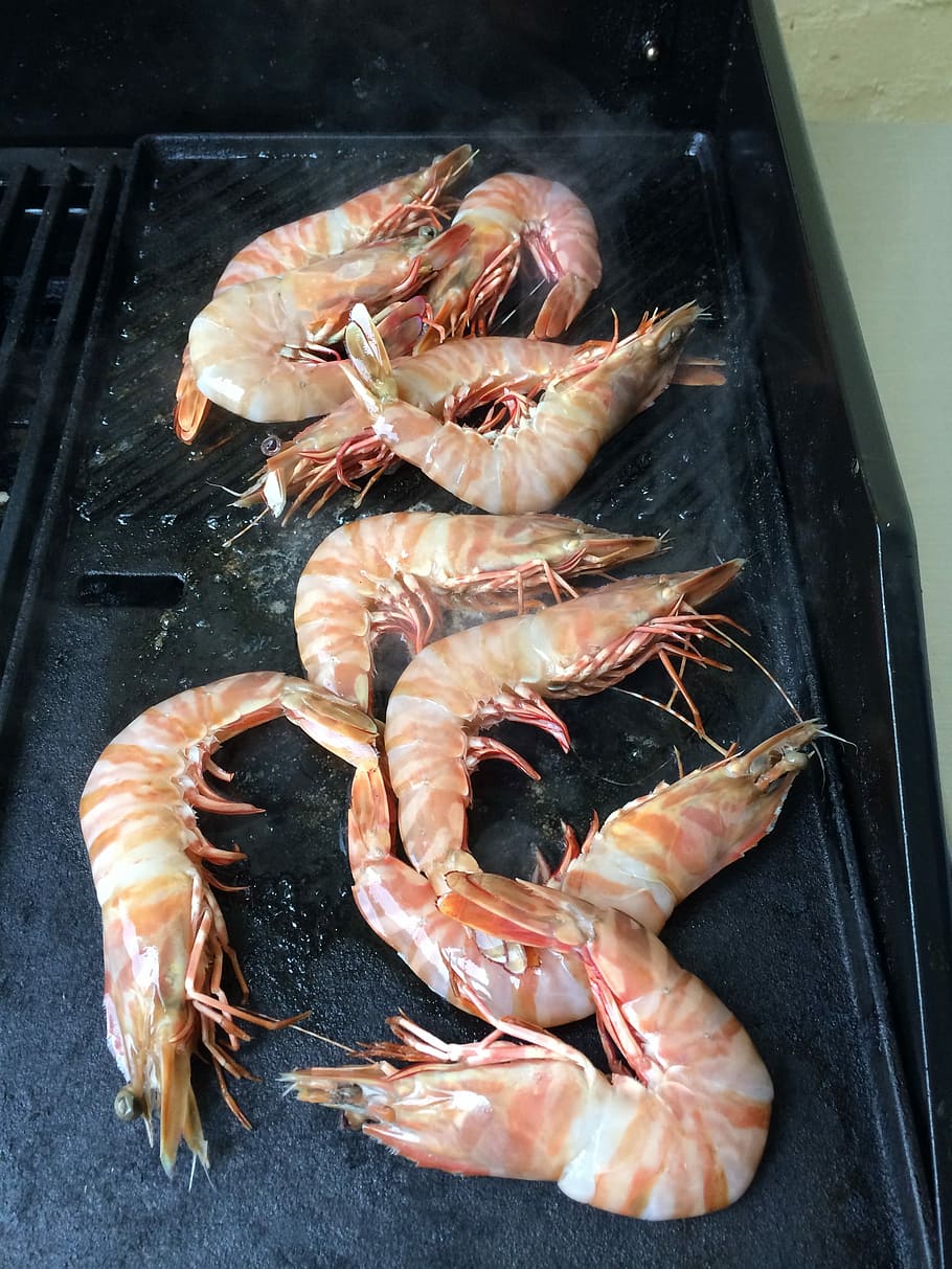 Prawns, Bbq, Shrimp, seafood, food and drink, crustacean, freshness HD wallpaper