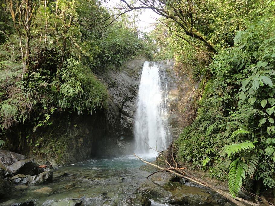 cascade, rain forest, waterfall, jungle, wild, nature, latin america HD wallpaper