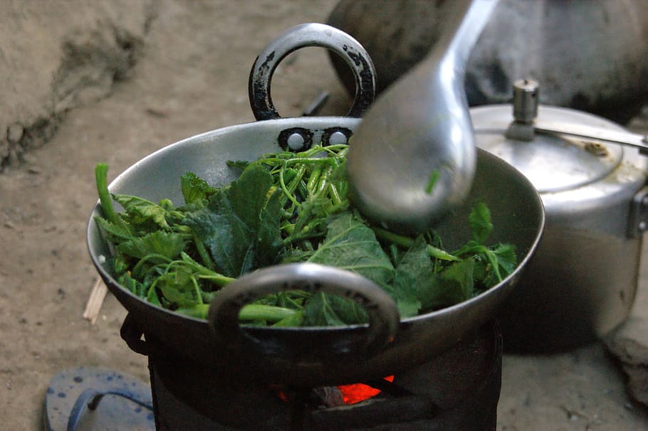 cook, nepal, chitwan, national park, eat, vegetable, day, household equipment