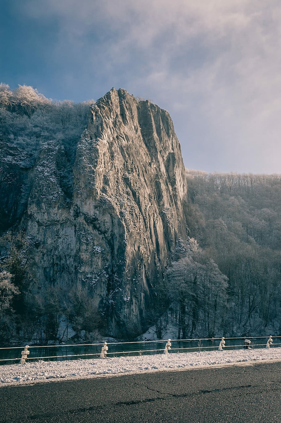 landscape shot of trees, gray mountain with trees during daytime HD wallpaper
