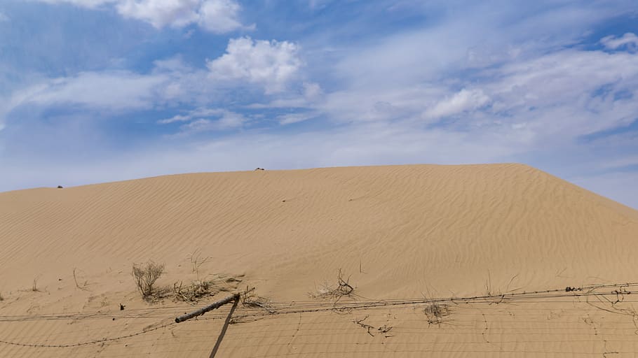 Desert blue. Опустынивание в Калмыкии. Песчаные Барханы Калмыкии. Песчаные бури в Калмыкии. Песчаные дюны Калмыкия.