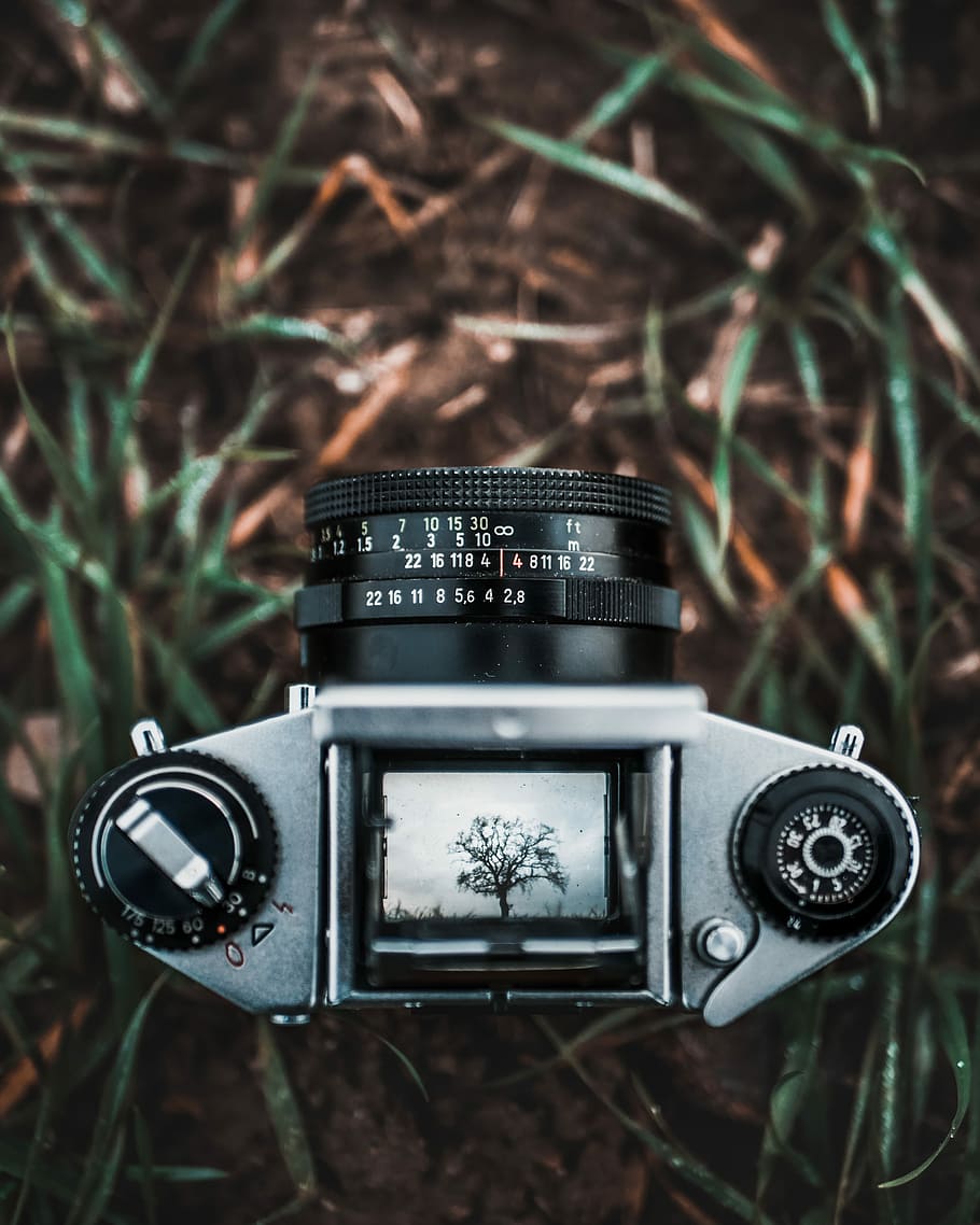 shallow focus photography of black and gray DSLR camera, shallow focus photography of film camera on grass HD wallpaper
