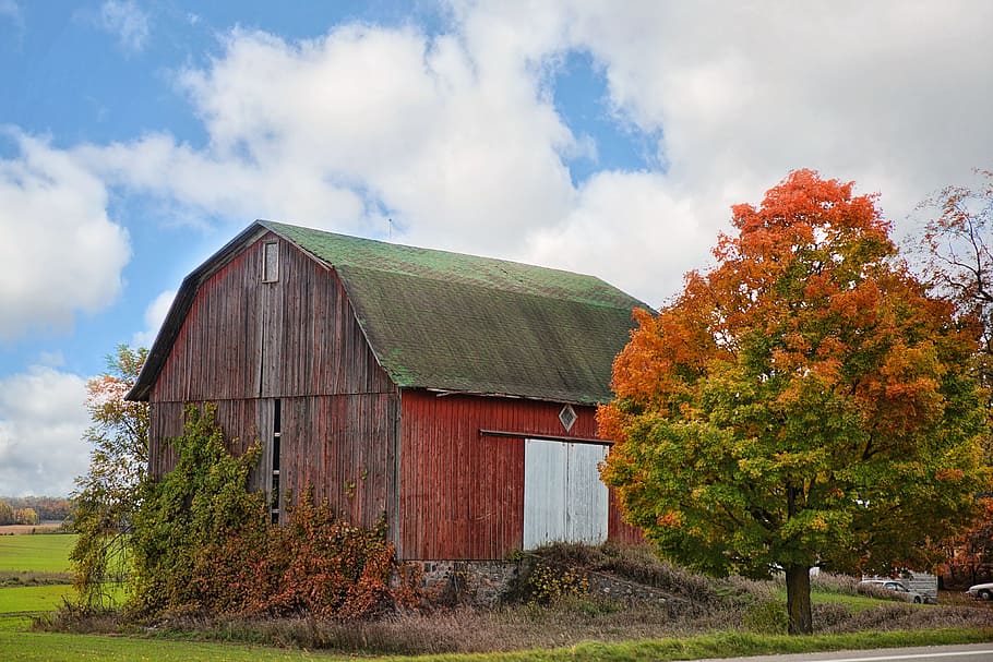 selective photography of a house near green tree, red barn HD wallpaper