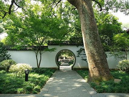Hangzhou, Courtyard, Temple, tree, outdoors, built structure HD wallpaper