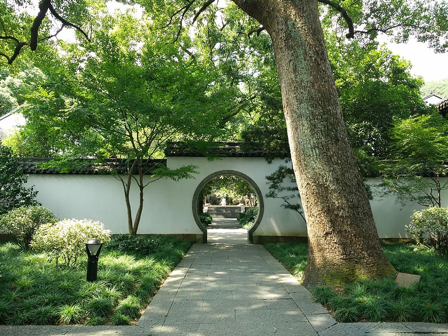 Hangzhou, Courtyard, Temple, tree, outdoors, built structure HD wallpaper