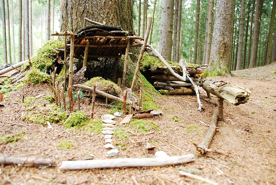brown and green wooden house in forest during daytime, treehouse HD wallpaper