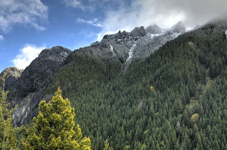clouds, forest, landscape, mountain, nature, sky, trees, scenics HD wallpaper
