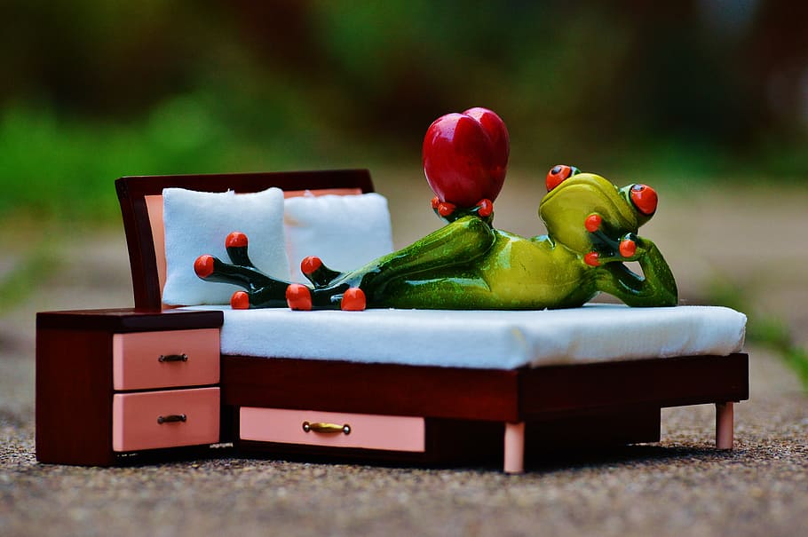 frog, love, bed, bedside table, heart, figure, funny, cute HD wallpaper