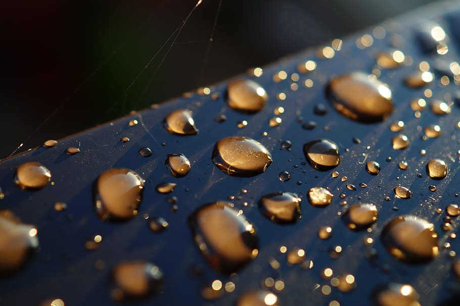 water, texture, close-up view, dew, clean, clear, drop, droplets