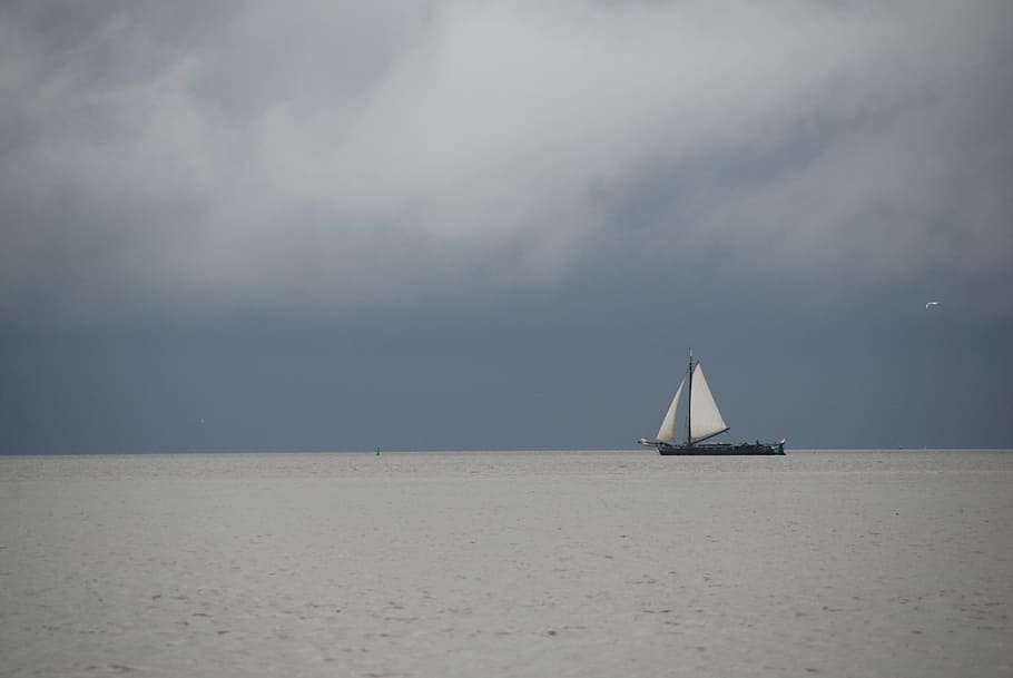 Sailing, Boat, Water, sea, beach, sky, outdoors, day, sailboat HD wallpaper