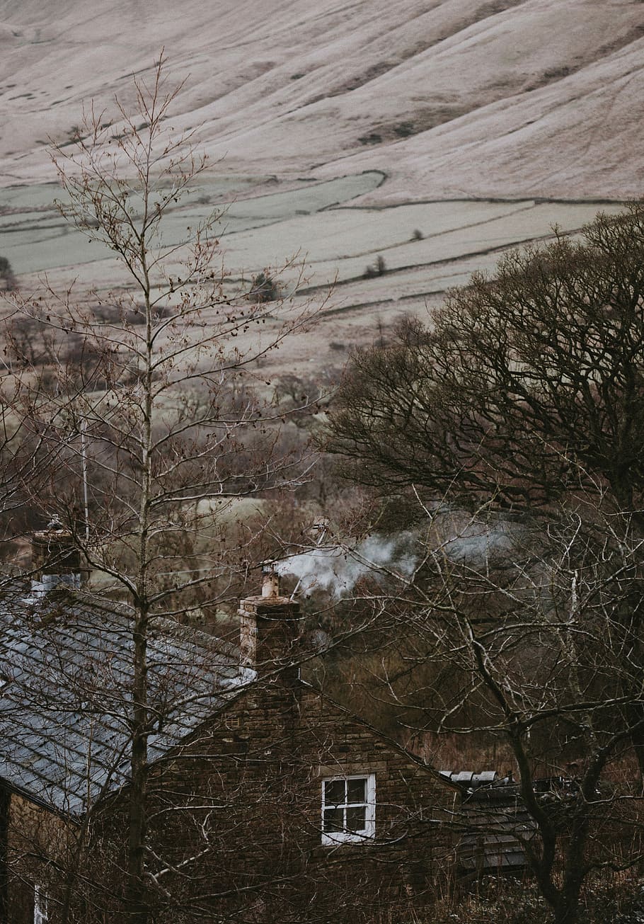 Chimney with smoke, remote countryside, green leafed trees near concrete house HD wallpaper