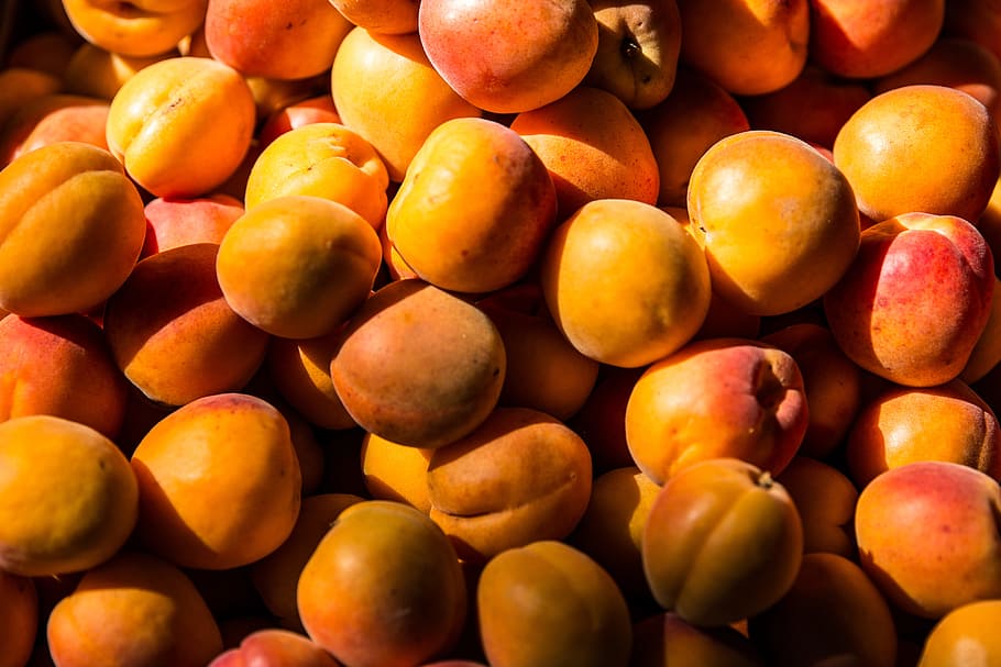 Fresh apricots captured on a fruit stall in Paris. Image captured with a Canon 6D, HD wallpaper