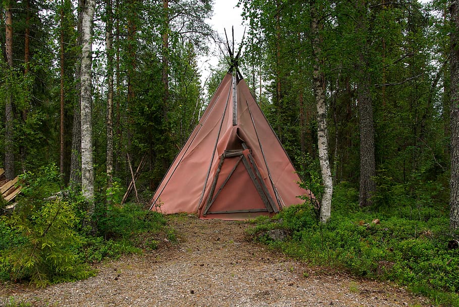 pink teepee tent between brown and grey trees at daytime, finland HD wallpaper