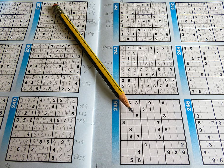 leisure, puzzles, sudoku, pencil, rates, difficult, pay, combination