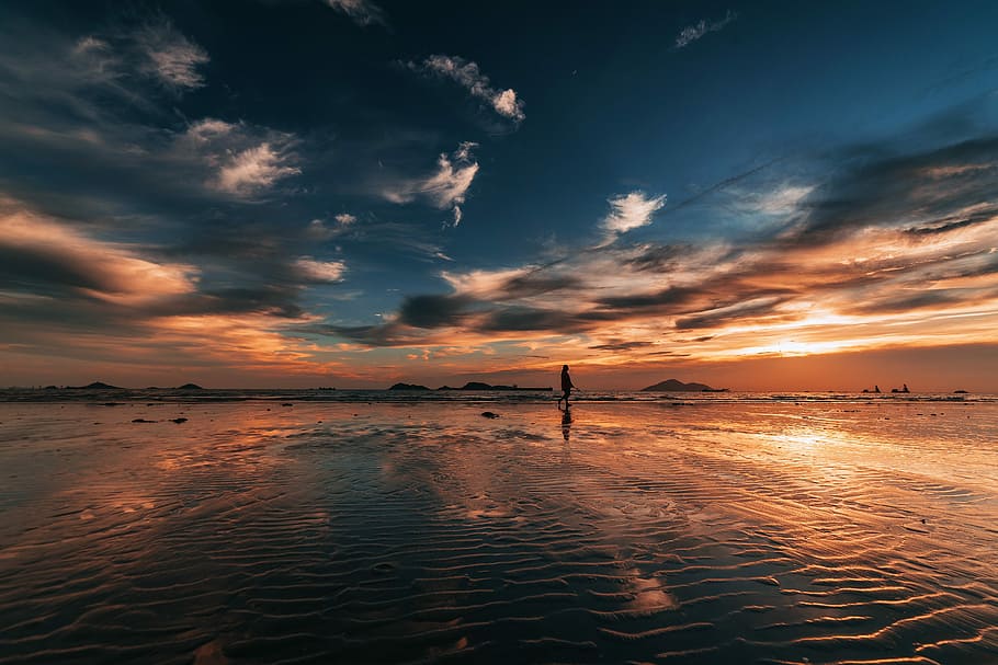 silhouette of person walking on shoreline, person walking on shore during golden hour HD wallpaper